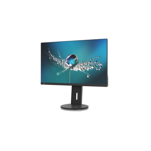 Monitor Fujitsu B2410 WS